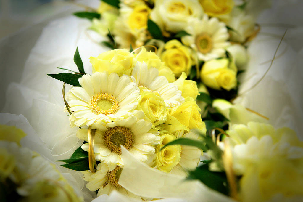 sb-jj-wed-008.jpg