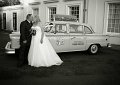 kj-sb-442_w