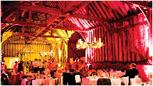 Mood Lighting / Venue uplighting Services