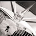 Wedding Car...